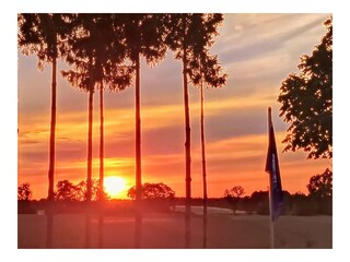 Blick aufs Feld vom Hof