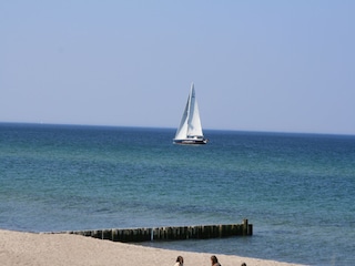 Apartment Wittenbeck Umgebung 38