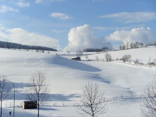 Apartment Willingen Environment 25