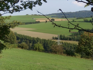 Apartment Willingen Umgebung 36