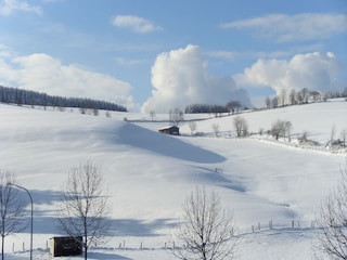Apartment Willingen Environment 24