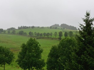 Appartamento Willingen Registrazione all'aperto 4