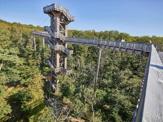 Appartement Bad Camberg Environnement 18
