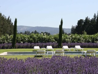 Villa Lagnes Buitenaudio-opname 3