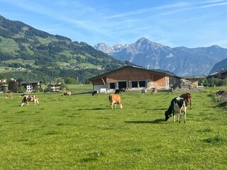 Apartamento de vacaciones Fügen Grabación al aire libre 15