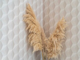 Apartment Mlini Ausstattung 22