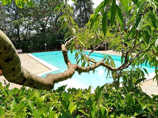 Villa Balestrate Registrazione all'aperto 5