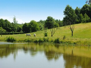 Parque de vacaciones Bytów  27