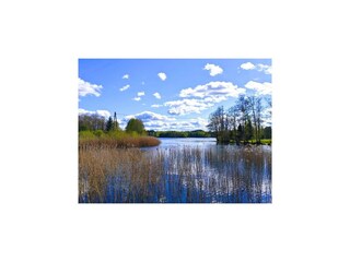 Parc de vacances Bytów Environnement 18