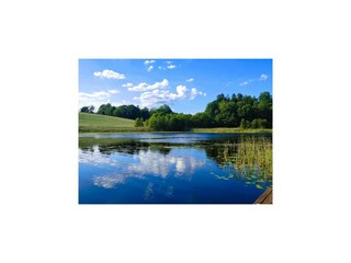 Parque de vacaciones Bytów Entorno 23