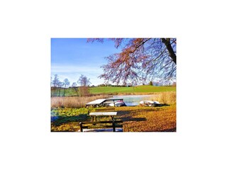Parc de vacances Bytów Environnement 24