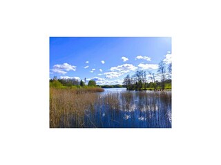 Parco vacanze Bytów Ambiente 20