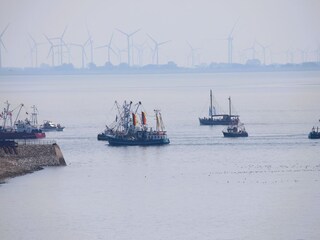 Kutterregatta