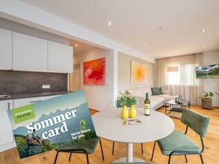 myNests-Apartment-Gröbming-Schladming-Dachstein-Dr