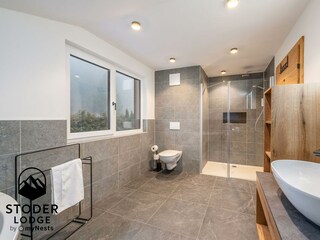 StoderLodge-1-Apartment-Groebming-Schladming-Dachs