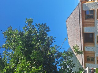 Aussenansicht Zufahrt