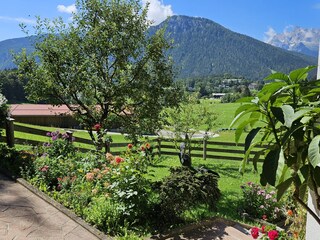 Blick zum Grünstein