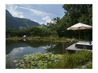 Winklern Lodge Aussicht Sommer