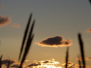 Ferienwohnung Borkum Umgebung 17