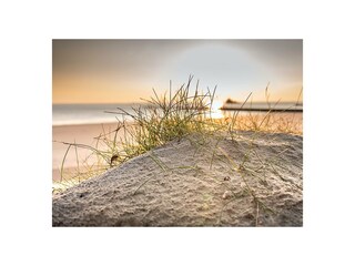 Ferienwohnung Borkum  41