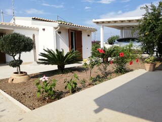 die Farben im Garten