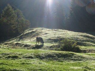 Ferienwohnung Obermaiselstein Umgebung 10