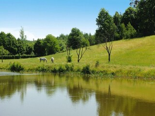 Parco vacanze Parchowo  41