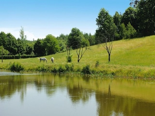Parc de vacances Parchowo  42
