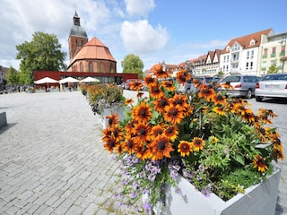 Huisboot Ribnitz-Damgarten Omgeving 24