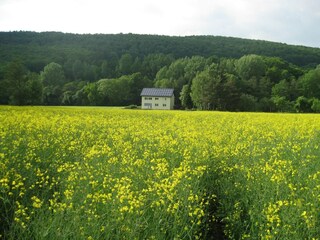 Apartamento Homberg an der Efze Grabación al aire libre 4