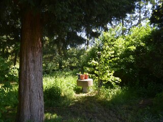 Apartamento Homberg an der Efze Grabación al aire libre 5