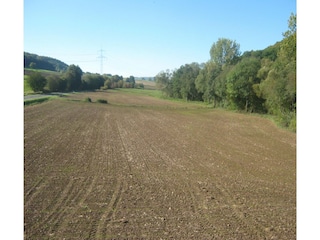 Apartment Homberg an der Efze Außenaufnahme 7