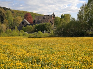 Ferienpark Gerolstein Umgebung 15