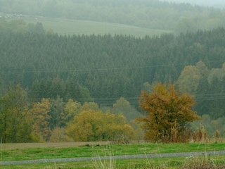 Ferienpark Gerolstein Umgebung 29