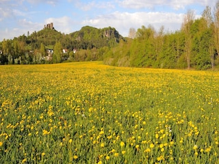 Ferienpark Gerolstein Umgebung 24