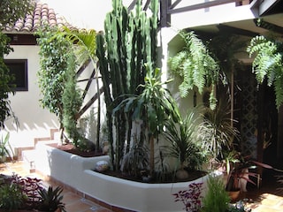 Apartment Icod de los Vinos  35