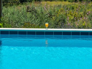 Apartment Cilipi  15