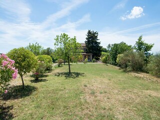 Apartment Acquaviva Picena Outdoor Recording 18
