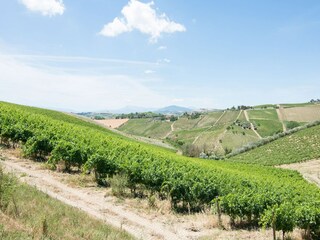 Appartamento Acquaviva Picena Ambiente 37