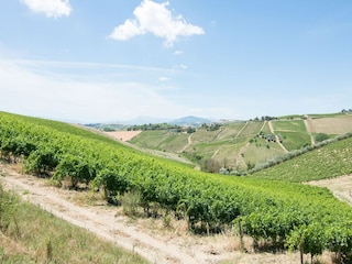 Apartment Acquaviva Picena Umgebung 34