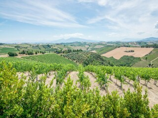 Appartement Acquaviva Picena Buitenaudio-opname 14