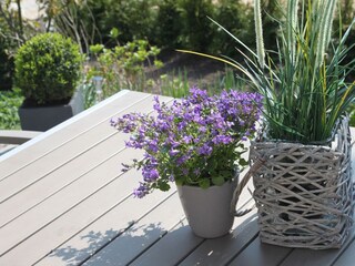 Appartamento per vacanze Kappeln (Stadt)  32