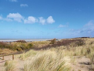 Apartment Kamperland Environment 36