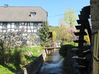 Ölmühle Waldbreitbach