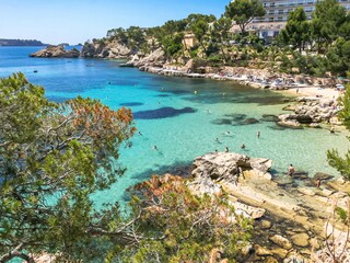 Appartamento per vacanze Palma de Mallorca Ambiente 25