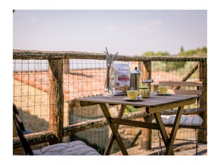 Ferienhaus Cortona Außenaufnahme 10