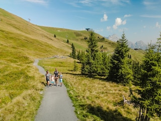Appartamento Leogang Ambiente 36