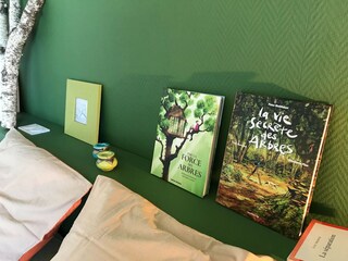 Type de propriété : Chalet Sousceyrac Équipement 24