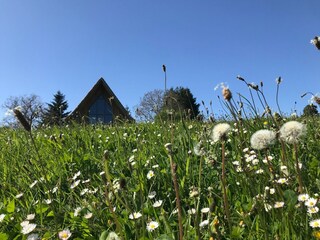 Type de propriété : Chalet Sousceyrac Enregistrement extérieur 8