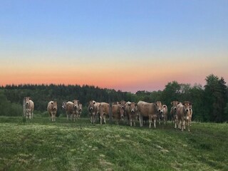 Cottage Sousceyrac Environment 30